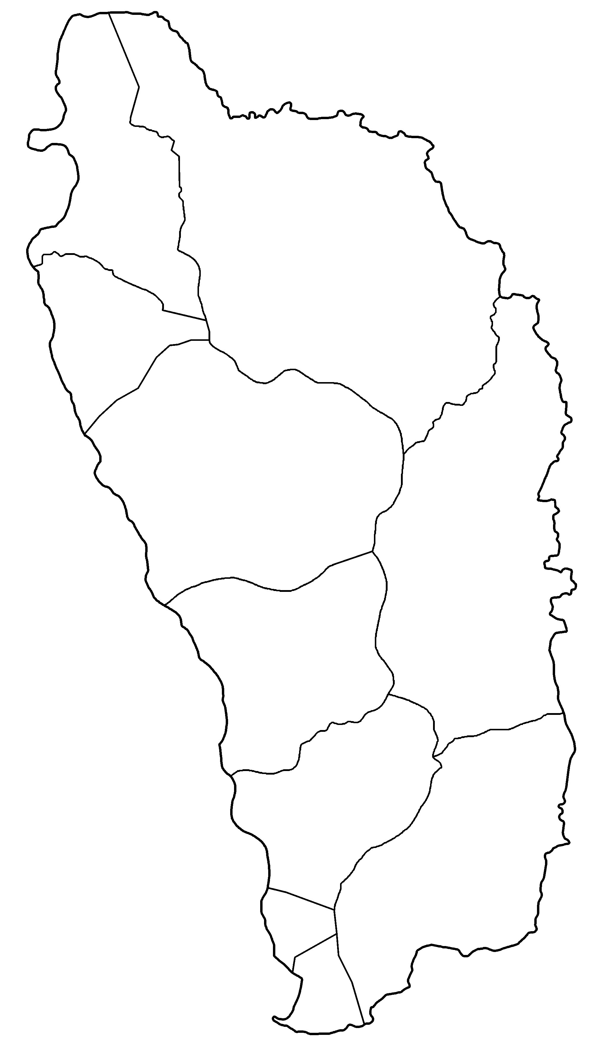 Carte Dominique vierge