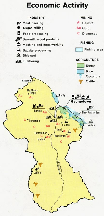 Carte Guyana économique