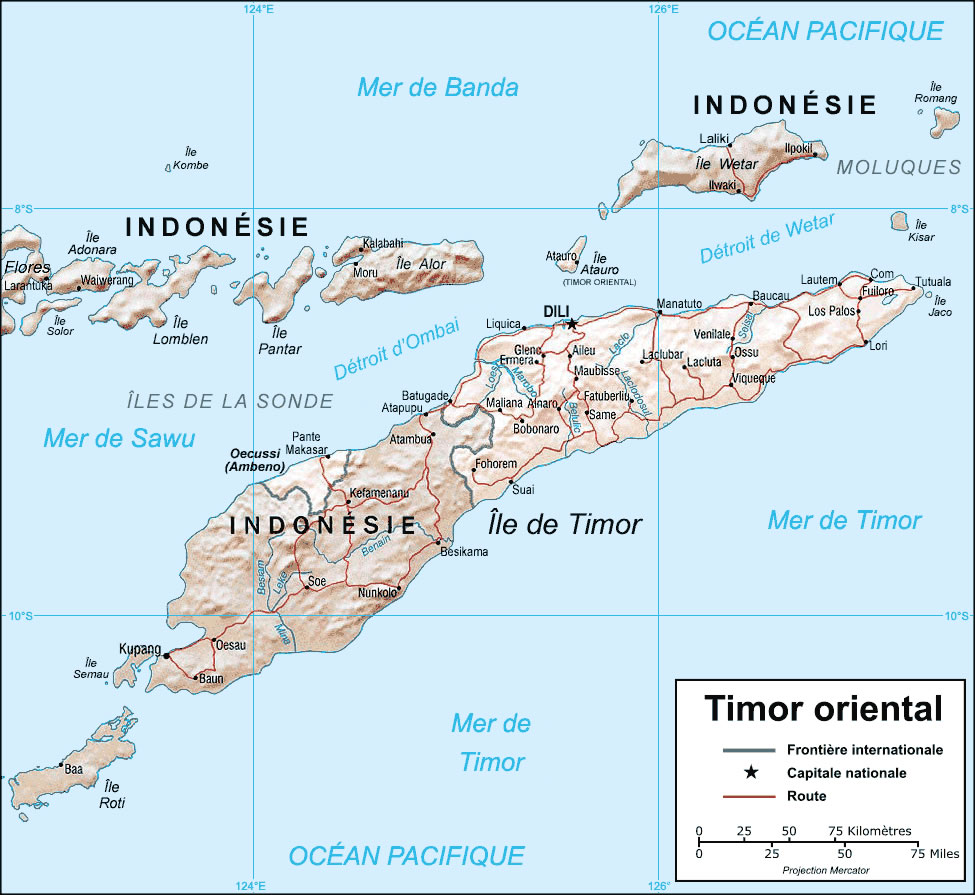 Carte relief Timor